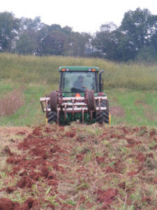 Cover photo for What Did Our First Truffle Orchard Look Like in 2011?