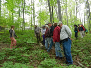 Cover photo for Walking Tours of Our Woodland Botanicals Research