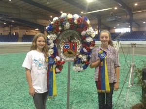 Cover photo for NC 4-H’ers compete in the TWHBEA All Youth Day Contests at the Celebration Horse Show