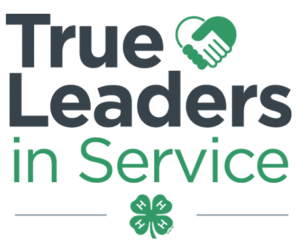 Cover photo for True Leaders in Service