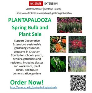 Cover photo for Spring Bulb and Plant Sale