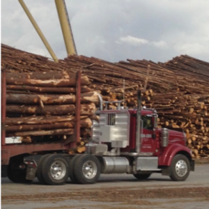 Cover photo for Timber Industry in North Carolina Contributed Over $900 Million in 2016