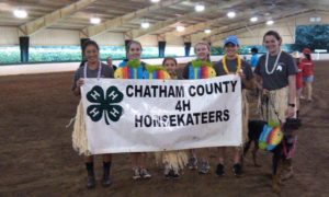 Cover photo for Chatham County 4-H Club Contact Flyer