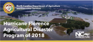 Cover photo for UPDATED 12-6-18 Hay and Pasture Crops Are Eligible for Hurricane Florence Disaster Program