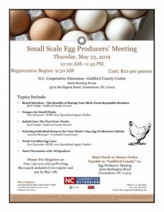 egg flyer