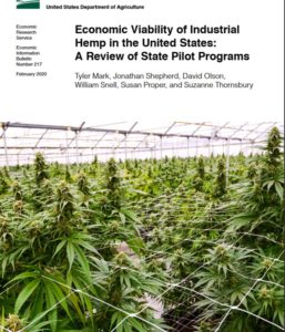 Cover photo for USDA Releases Hemp Economic Viability Report