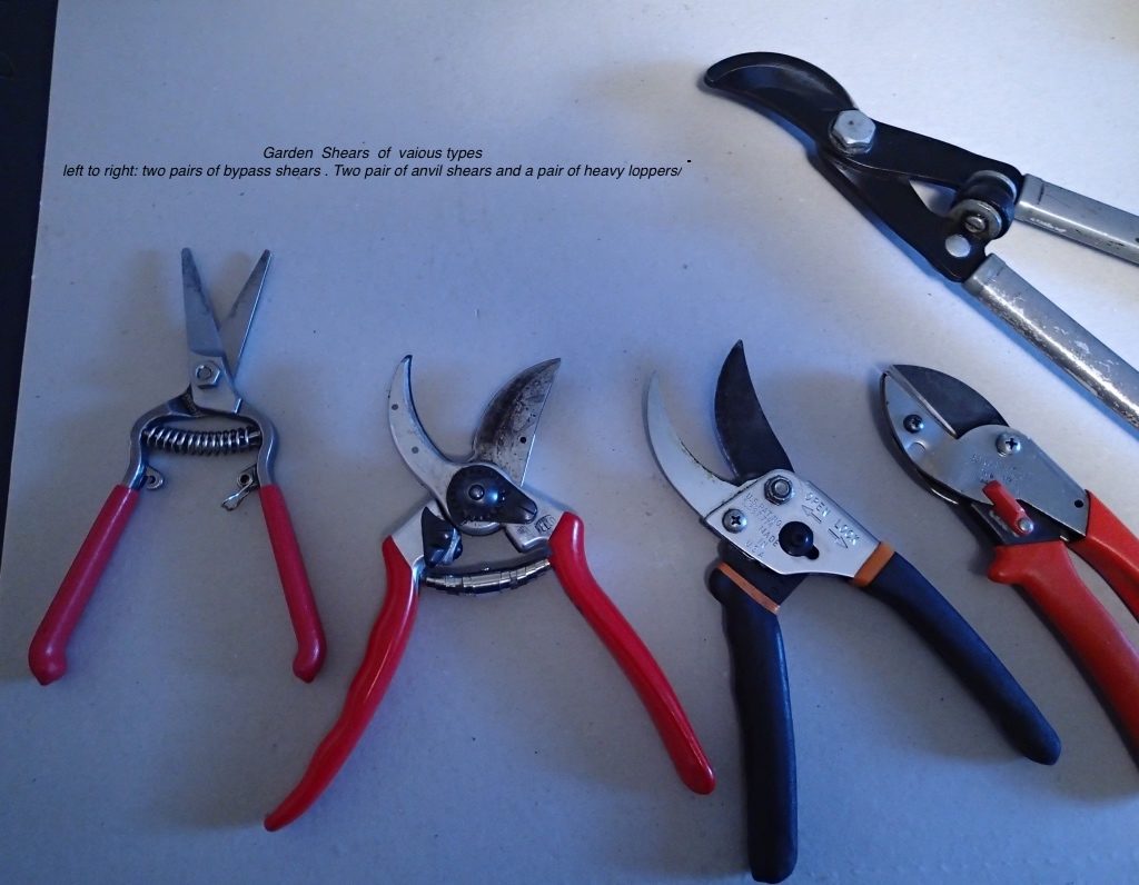 Left to right: two pairs of bypass shears, two pairs of anvil shears, and a pair of heavy loppers. Photo by Robert Bergmueller