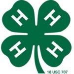 4-H clover