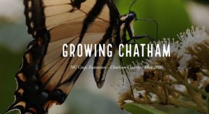 Cover photo for Growing Chatham, May 2020 Edition Is Now Available Online