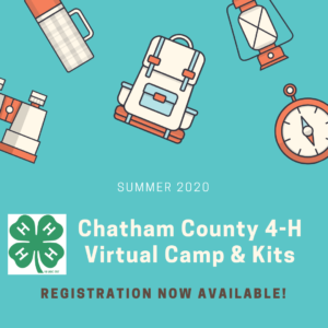 virtual camp logo