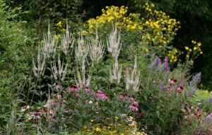 Cover photo for Take a Virtual Tour of the Pollinator Paradise Garden!