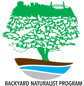Backyard Naturalist Logo