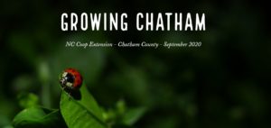 Cover photo for Don't Miss Growing Chatham!