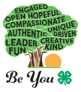 Cover photo for New State 4-H Council Theme