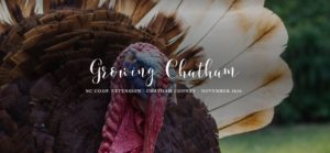Cover photo for Growing Chatham - November 2020 Is Now Available!