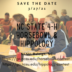 Cover photo for December 2020 NC 4-H Horse Program Newsletter