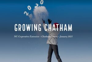 Cover photo for Bye Bye 2020! January's Growing Chatham Welcomes 2021, New Webinars and More!