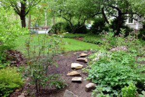 Front Yard in Progress Lori L Stalteri CC BY 2