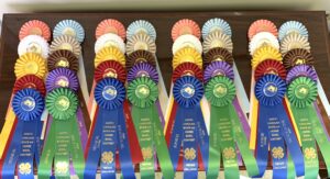 Cover photo for 2021 NC State 4-H Virtual Horsebowl Challenge Results