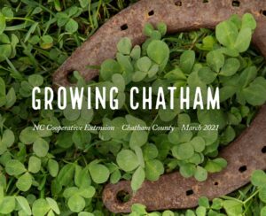 Cover photo for Growing Chatham, March Edition