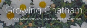 Cover photo for May 2021 Growing Chatham Newsletter and Podcast Are Available!