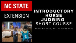 Cover photo for 2021 Fall Horse Judging Short Course & Certification Clinic Planned