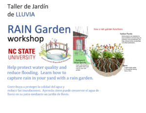 Rain garden diagram