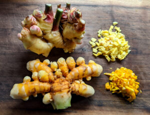 Cover photo for Ginger and Turmeric a High Value Crop for Local Growers
