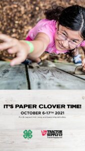 Cover photo for Chatham County 4-H Paper Clover Campaign