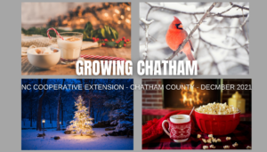Cover photo for Ho! Ho! Ho! Stay in the Know When You Read December's Edition of Growing Chatham