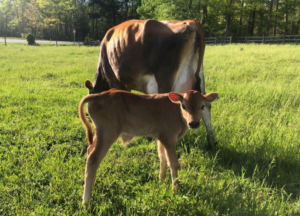 Cover photo for New Home for Agritourism Spotlights