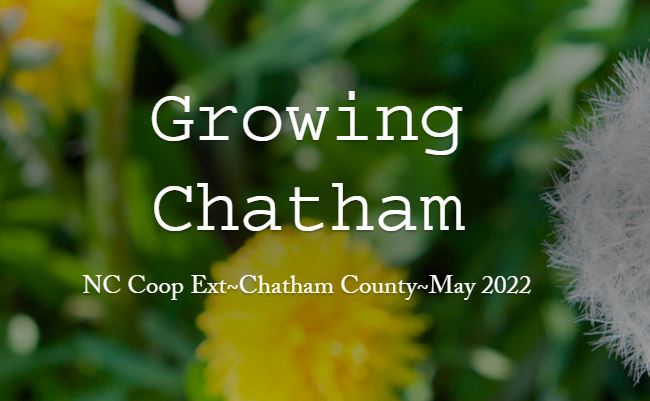 Growing Chatham, N.C. Cooperative Extension, Chatham County
