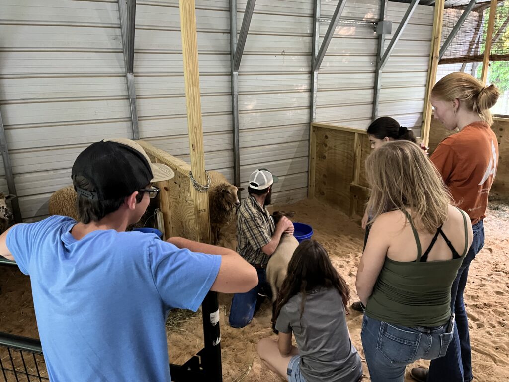 A group of teenagers watch a farmer's demonstration.