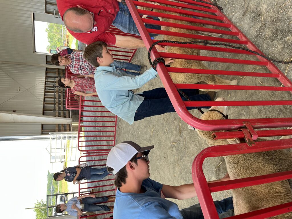 Members of the Youth Livestock Team inspect livestock.