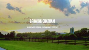 Growing Chatham over a background of pasture land.
