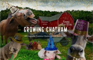 Cover Growing Chatham 1/2023