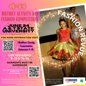 NCD Fashion Revue District Activity Day 2023