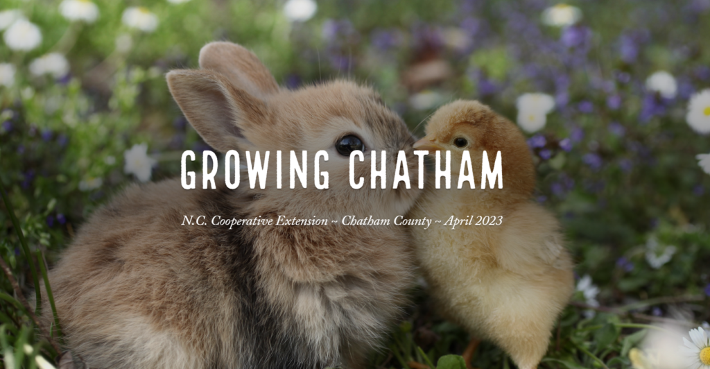 April 2023 cover Growing Chatham