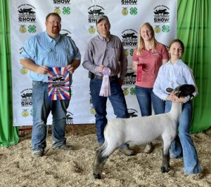 Cover photo for Chatham County 4-Her Excels at Livestock Show
