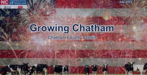 Cover photo for O Say, Can You See the July Edition of Growing Chatham?