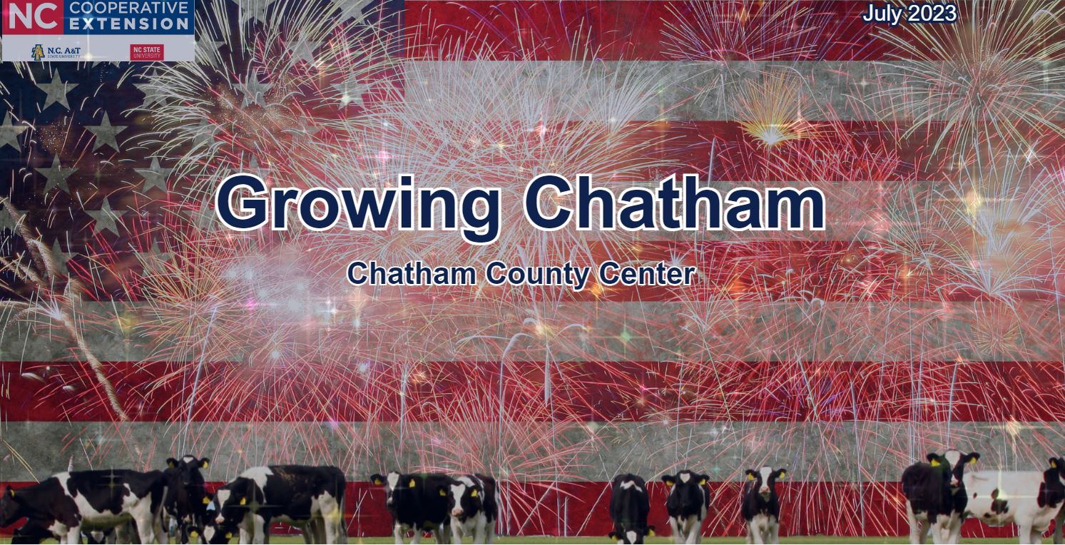 Growing Chatham, Chatham County Center