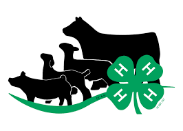 Cover photo for 2023 Chatham County  4-H Livestock Show - Sat., Sept. 9th