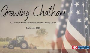 Cover photo for Enjoy the Seasonal Transition With September's Growing Chatham
