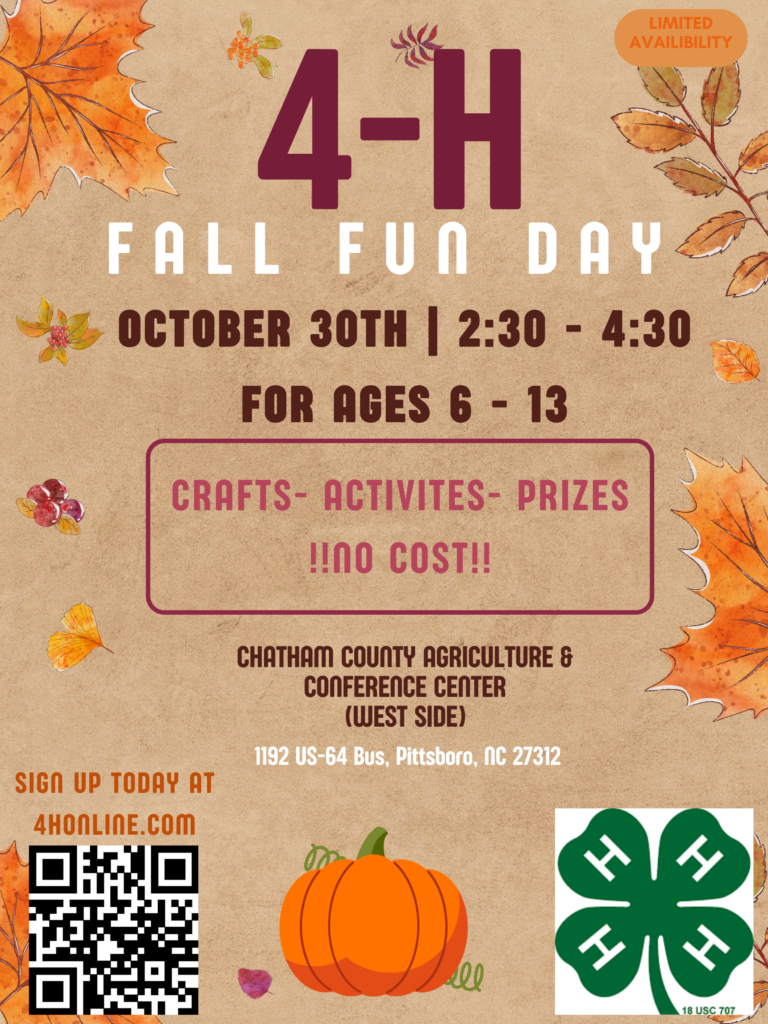 4-H Fall Fun Day Flyer