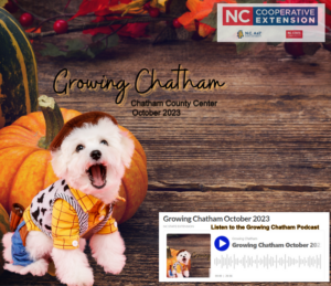 Newsletter cover page with small white dog in Toy Story's Woody costume near pumpkin 