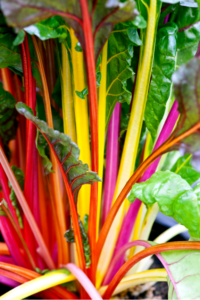 Rainbow Swiss Chard