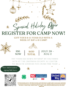 Cover photo for Give the Gift of Camp This Holiday Season!
