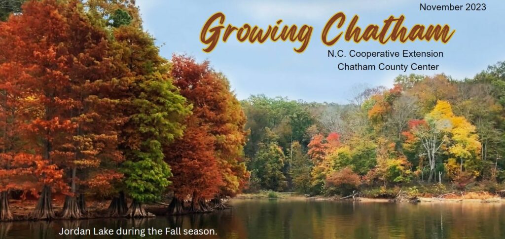 The Growing Chatham November newsletter featuring Jordan Lake in the fall