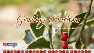 Cover photo for Ho! Ho! Ho! Growing Chatham Sparkles & Glows!