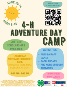 4-H Adventure Day Camp
